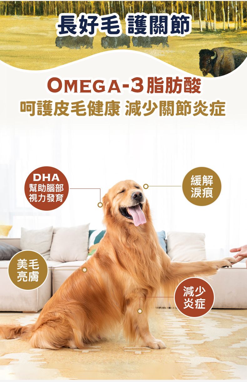 Taste of the Wild - #W49 TOW無穀物野牛+烤鹿肉配方 (成犬糧)12.2KG  (90102389)