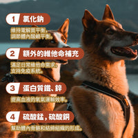 Taste of the Wild - #W43 TOW無穀物烤羊肉配方 (全犬糧) 12.2kg  (90102391)