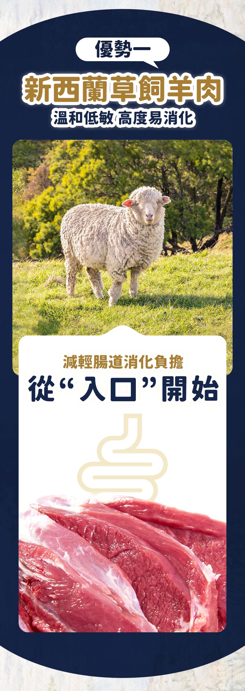 Taste of the Wild - #W43 TOW無穀物烤羊肉配方 (全犬糧) 12.2kg  (90102391)