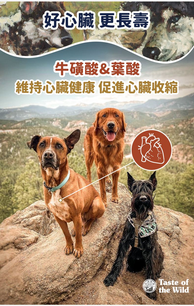 Taste of the Wild - #W34 TOW 無穀物野牛+烤鹿肉幼粒配方 (全犬糧)12.2KG  (90102393)
