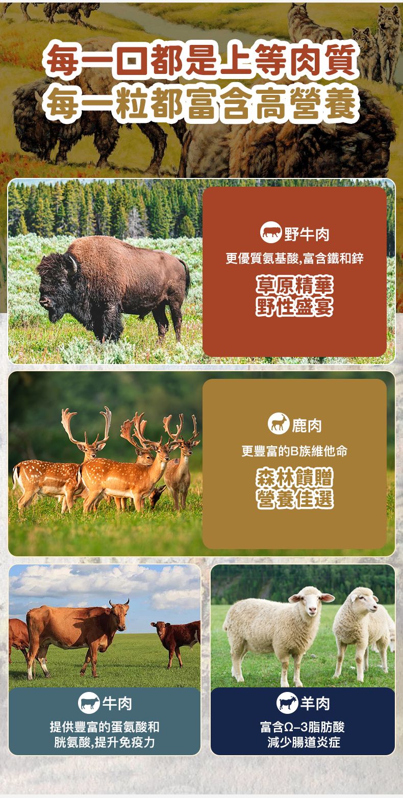 Taste of the Wild - #W34 TOW 無穀物野牛+烤鹿肉幼粒配方 (全犬糧)12.2KG  (90102393)