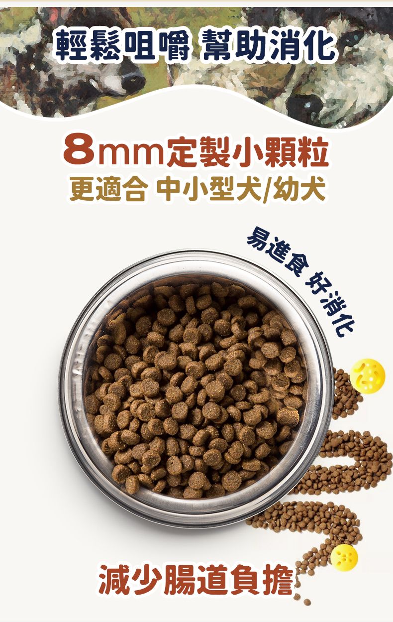 Taste of the Wild - #W34 TOW 無穀物野牛+烤鹿肉幼粒配方 (全犬糧)12.2KG  (90102393)
