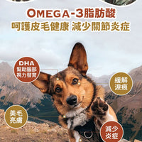 Taste of the Wild - #W34 TOW 無穀物野牛+烤鹿肉幼粒配方 (全犬糧)12.2KG  (90102393)