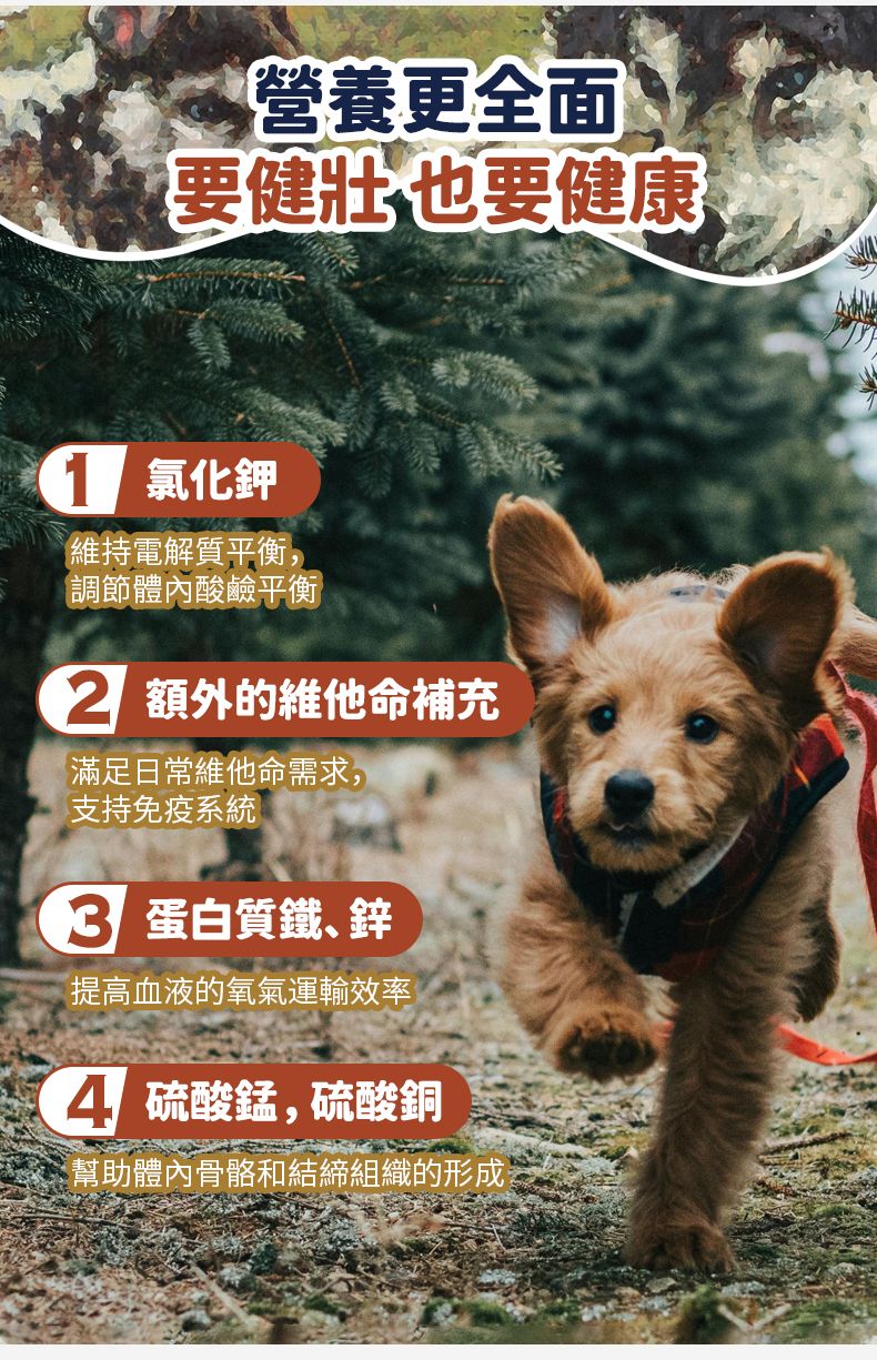 Taste of the Wild - #W34 TOW 無穀物野牛+烤鹿肉幼粒配方 (全犬糧)12.2KG  (90102393)