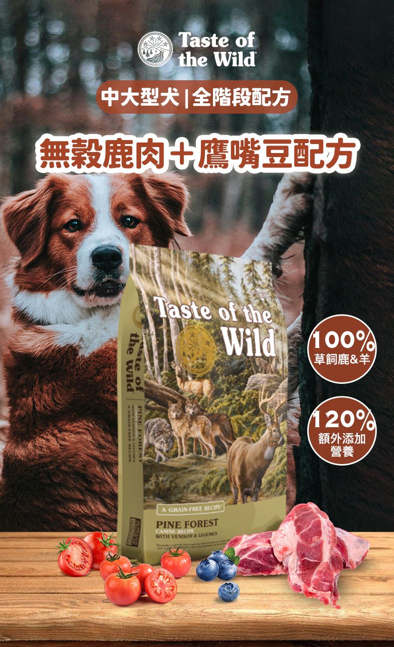 Taste of the Wild - #W31 TOW 無穀物鹿肉+鷹嘴豆配方 (全犬糧)12.2KG  (90102399)