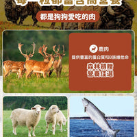 Taste of the Wild - #W31 TOW 無穀物鹿肉+鷹嘴豆配方 (全犬糧)12.2KG  (90102399)