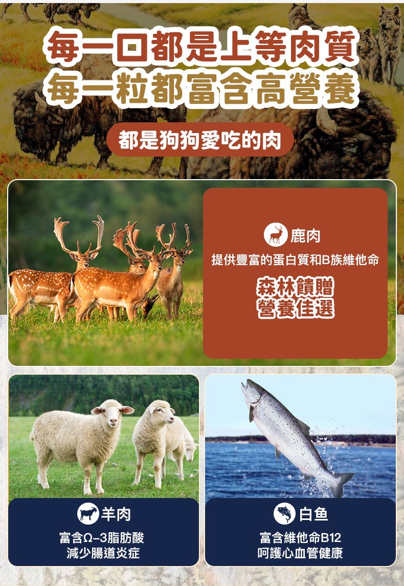 Taste of the Wild - #W31 TOW 無穀物鹿肉+鷹嘴豆配方 (全犬糧)12.2KG  (90102399)