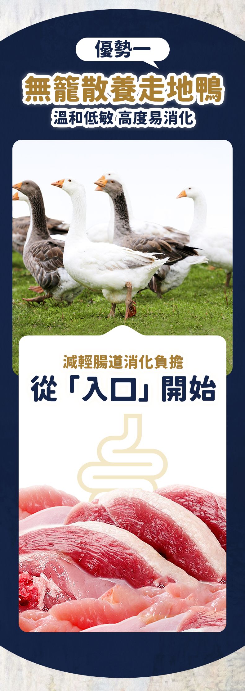 Taste of the Wild - #W60 TOW 無穀物鴨肉配方 (全貓糧)2KG  (90202404)
