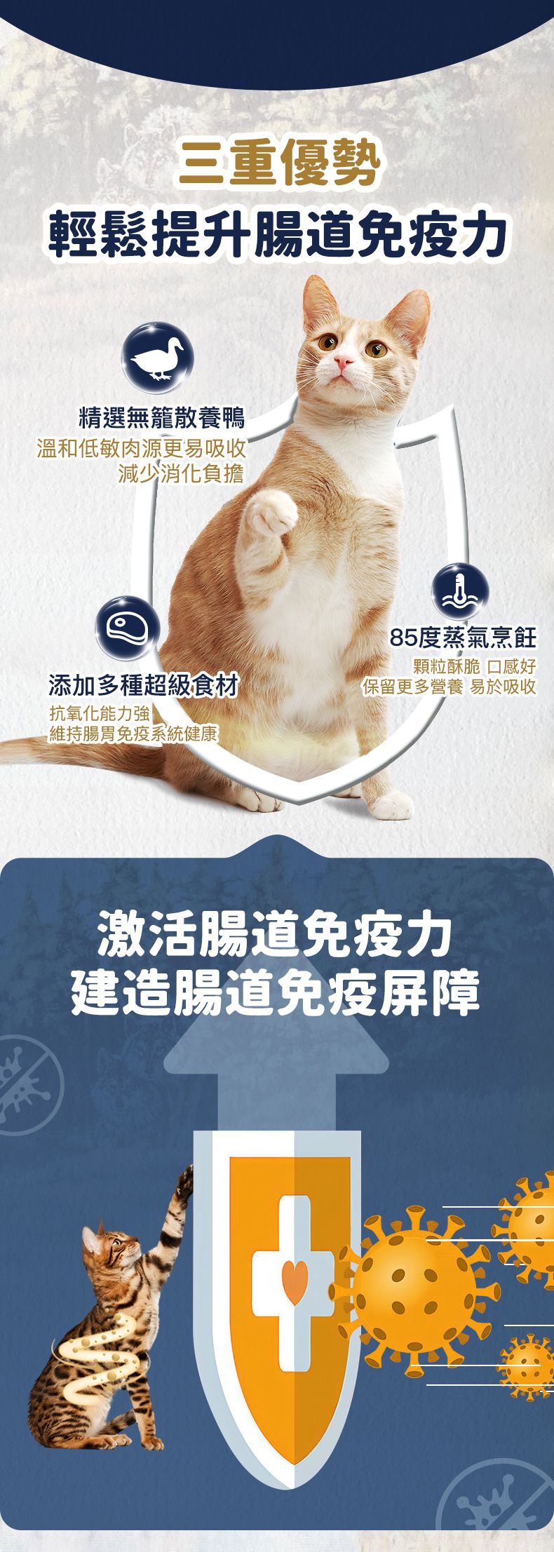 Taste of the Wild - #W60 TOW 無穀物鴨肉配方 (全貓糧)6.6KG  (90202405)