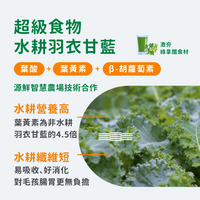 Hojja - 賀家 [無穀物 貓咪 主食罐] 法式春雞羊排 (80g) X 24罐 (90403737X24)