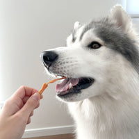 Petio - 完全無添加 潔齒 風乾雞筋條 狗小食 50g  (90503568)