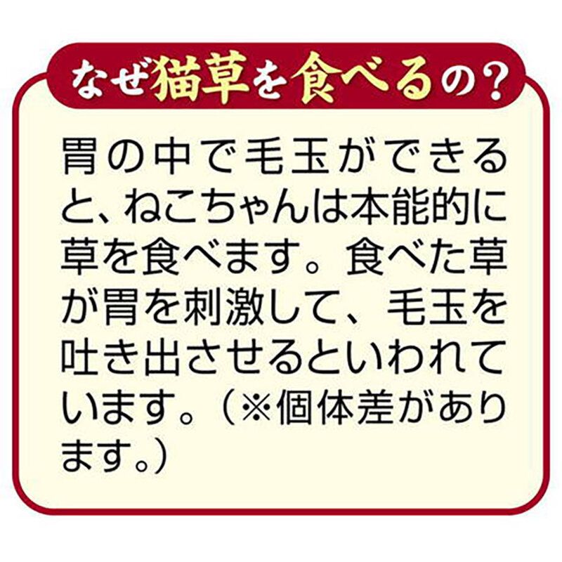 Petio - 日本產 去毛球&皮膚毛髮護理貓草脆粒粒
 貓小食 30g  (W14131)  (90603315)