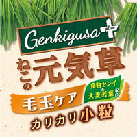 Petio - 日本產 去毛球&皮膚毛髮護理貓草脆粒粒
 貓小食 30g  (W14131)  (90603315)