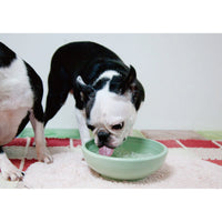 Petio - W25305 Petio #F20 陶瓷犬用健康碗 S  (91501690)
