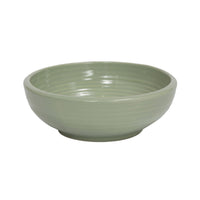 Petio - W25306 Petio #F21 陶瓷犬用健康碗 M  (91501691)