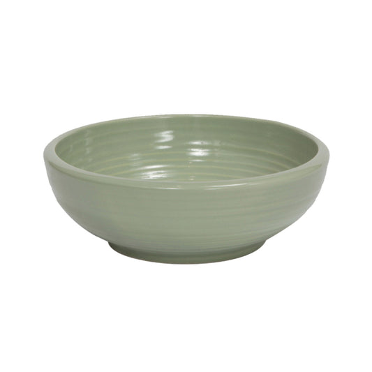 Petio - W25306 Petio #F21 陶瓷犬用健康碗 M  (91501691)