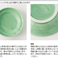Petio - W25306 Petio #F21 陶瓷犬用健康碗 M  (91501691)