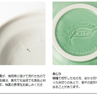 Petio - W25306 Petio #F21 陶瓷犬用健康碗 M  (91501691)