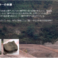 Petio - W25306 Petio #F21 陶瓷犬用健康碗 M  (91501691)