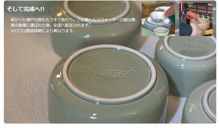 Petio - W25306 Petio #F21 陶瓷犬用健康碗 M  (91501691)