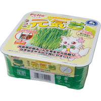 Petio - Healthy 自種貓草方便套裝  (91600949)