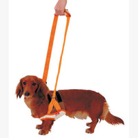 Petio -  (w23623) #D2 zuttone高齡犬護理專用.步行輔助胸帶 (前足) M  (91601243)