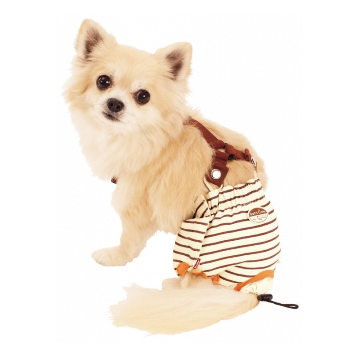 Petio -  (w23632) #D11 zuttone高齡犬護理出街專用背帶尿褲 S (狗仔)  (91601247)
