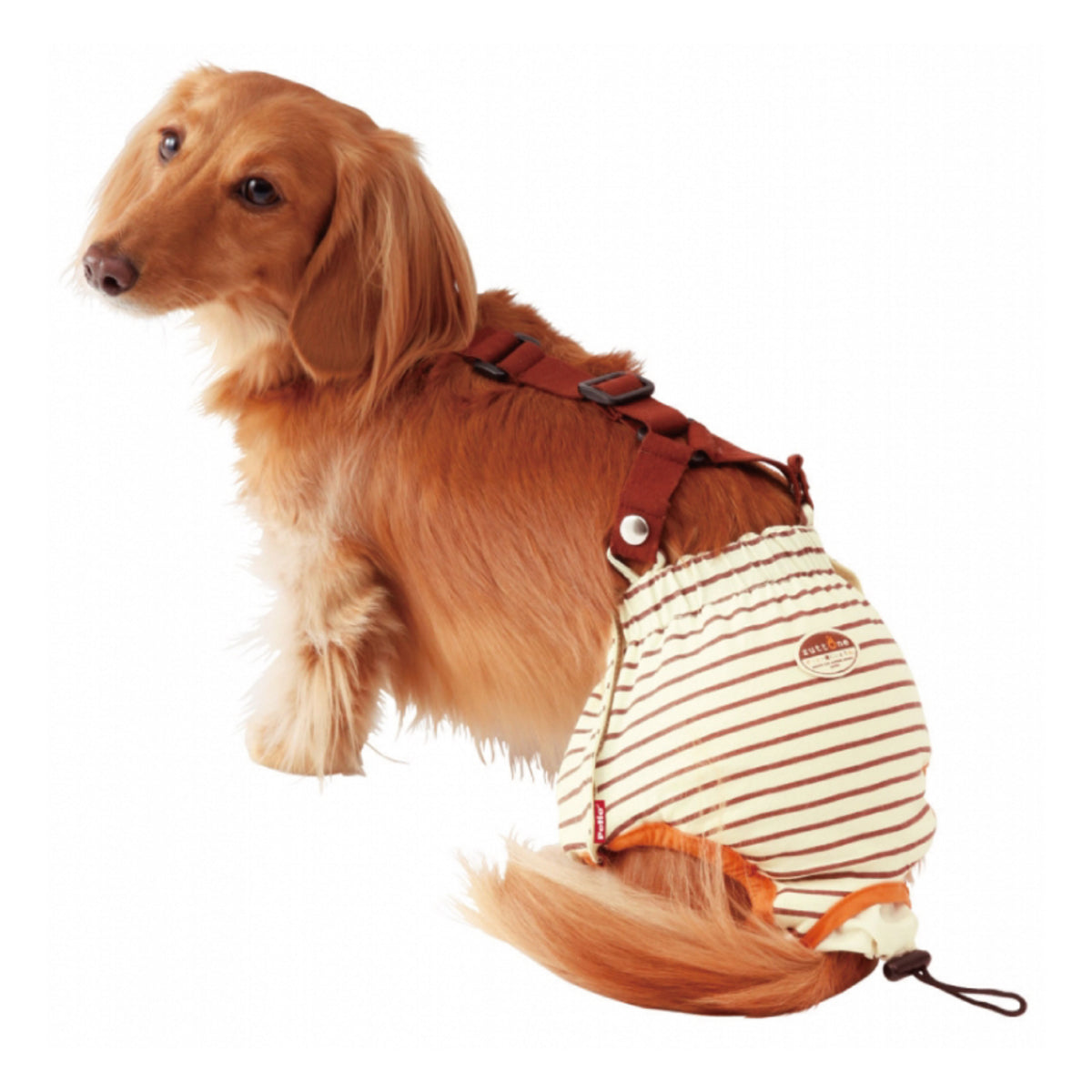 Petio -  (w23633) #D12 zuttone高齡犬護理出街專用背帶尿褲 M (狗仔)  (91601248)