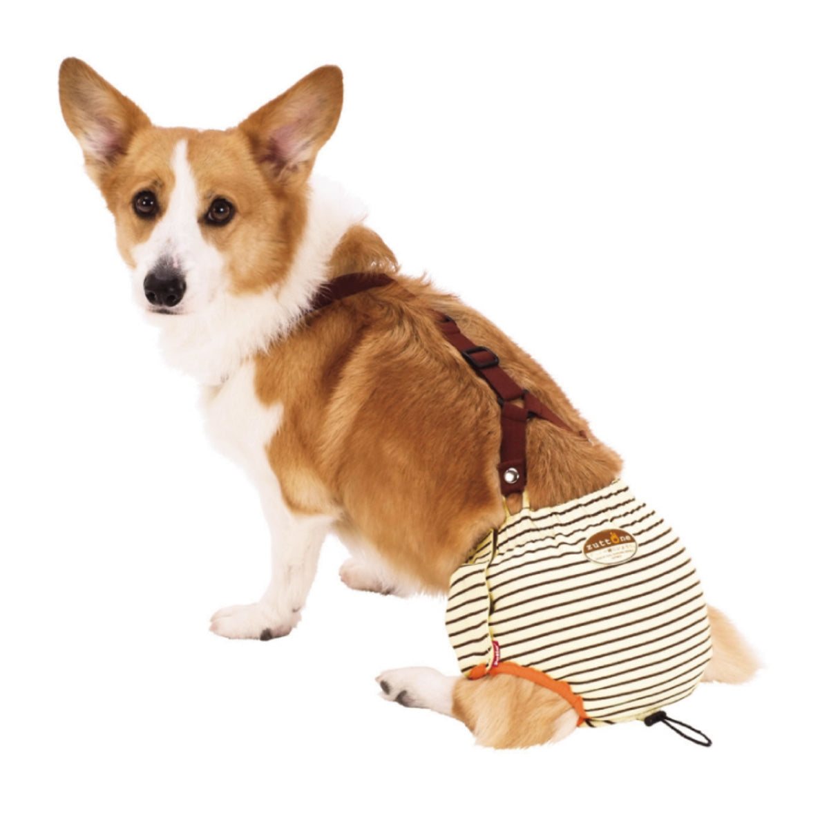 Petio -  (w23634) #D13 zuttone高齡犬護理出街專用尿褲 L (狗仔)  (91601249)