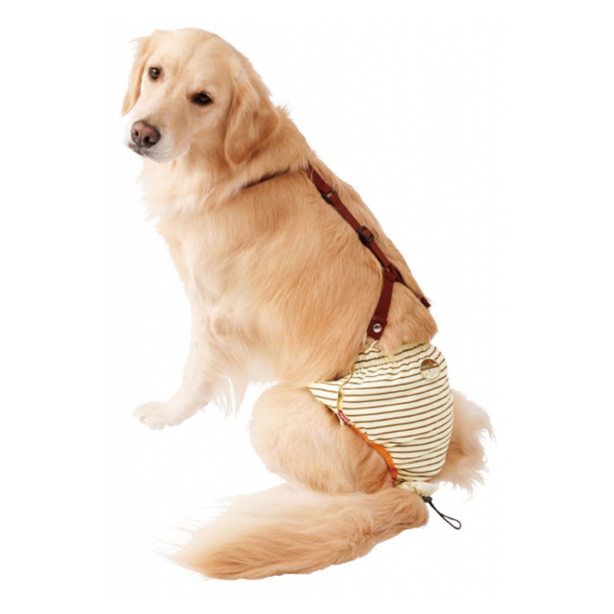 Petio -  (w23636) #D15 zuttone高齡犬護理出街專用背帶尿褲 3L (狗仔)  (91601251)