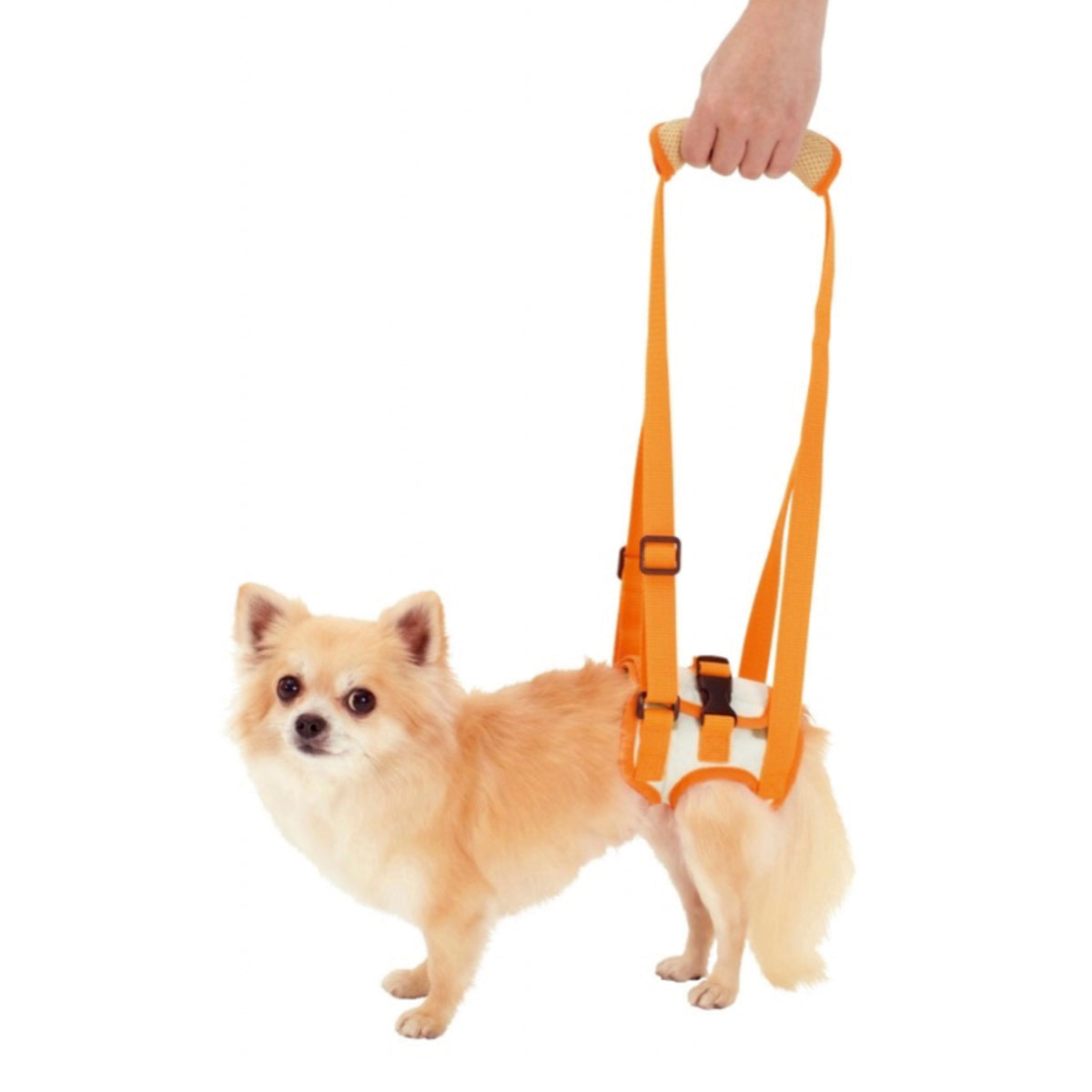 Petio -  (W23627) #D6 zuttone高齡犬護理專用.步行輔助背帶 (後足) S  (91601346)