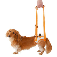 Petio -  (W23628) #D7 zuttone高齡犬護理專用.步行輔助背帶 (後足)M  (91601347)