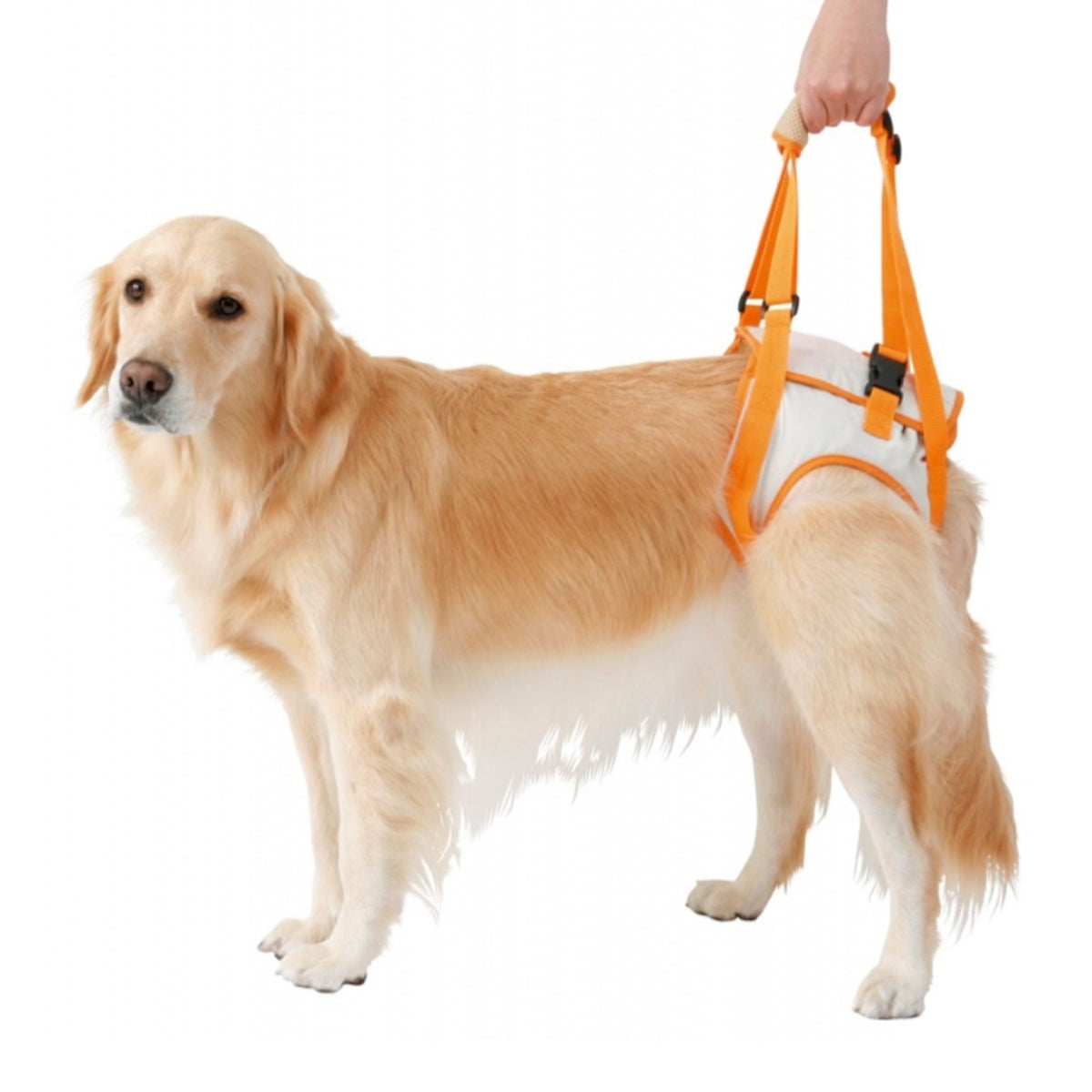 Petio -  (W23631) #D10zuttone高齡犬護理專用.步行輔助背帶 (後足)3L  (91601350)