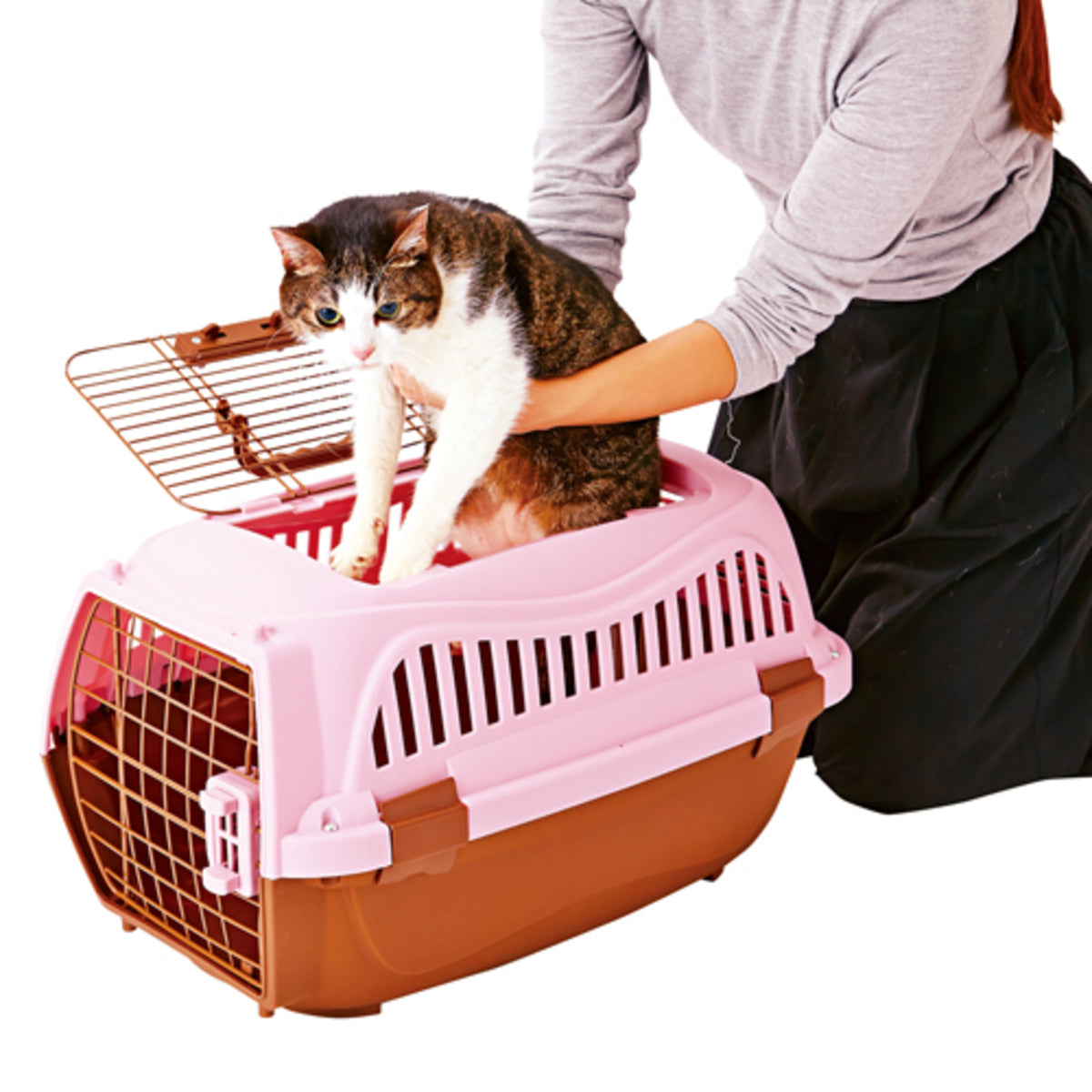 Petio - W22024 #F58 Petio寵物雙門手提籠 粉色M  (91601403)