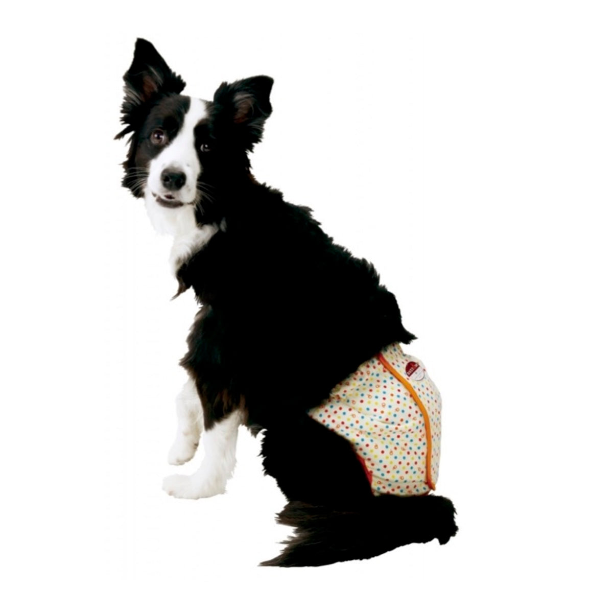 Petio -  (w24080) #D29 zuttone高齡犬護理出街專用圓點尿褲 2L  (91601443)