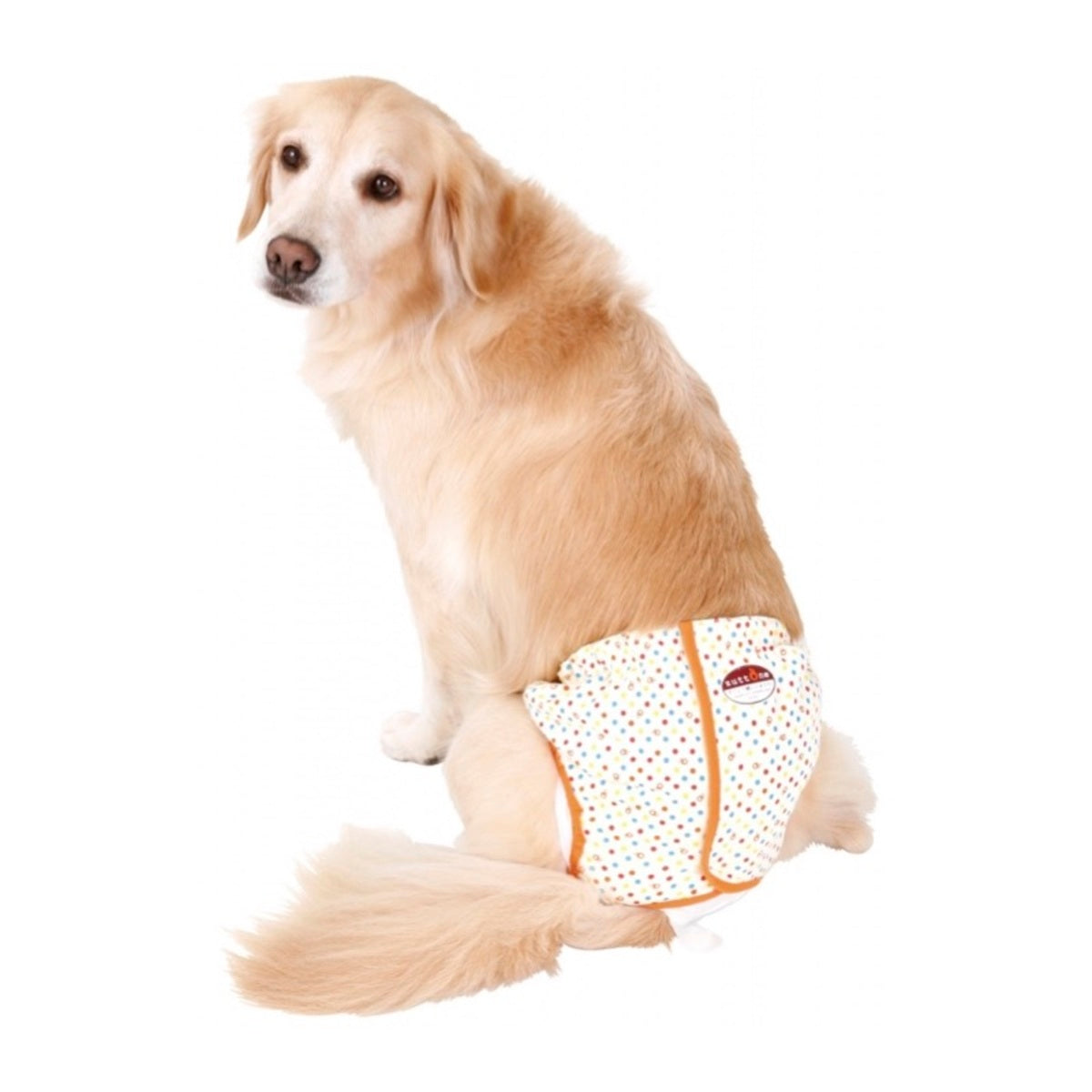 Petio -  (w24081) #D30 zuttone高齡犬護理出街專用圓點尿褲 3L  (91601444)