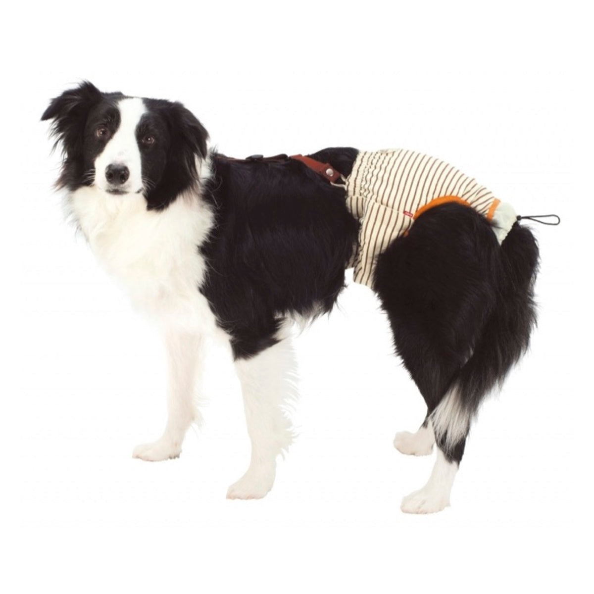 Petio -  (w23643) #D19 zuttone高齡犬護理專用黏貼式尿片 2L (背帶尿褲專用)  (91601448)