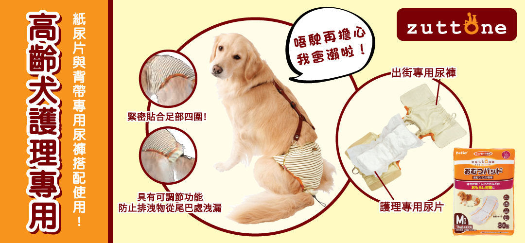 Petio -  (w23643) #D19 zuttone高齡犬護理專用黏貼式尿片 2L (背帶尿褲專用)  (91601448)