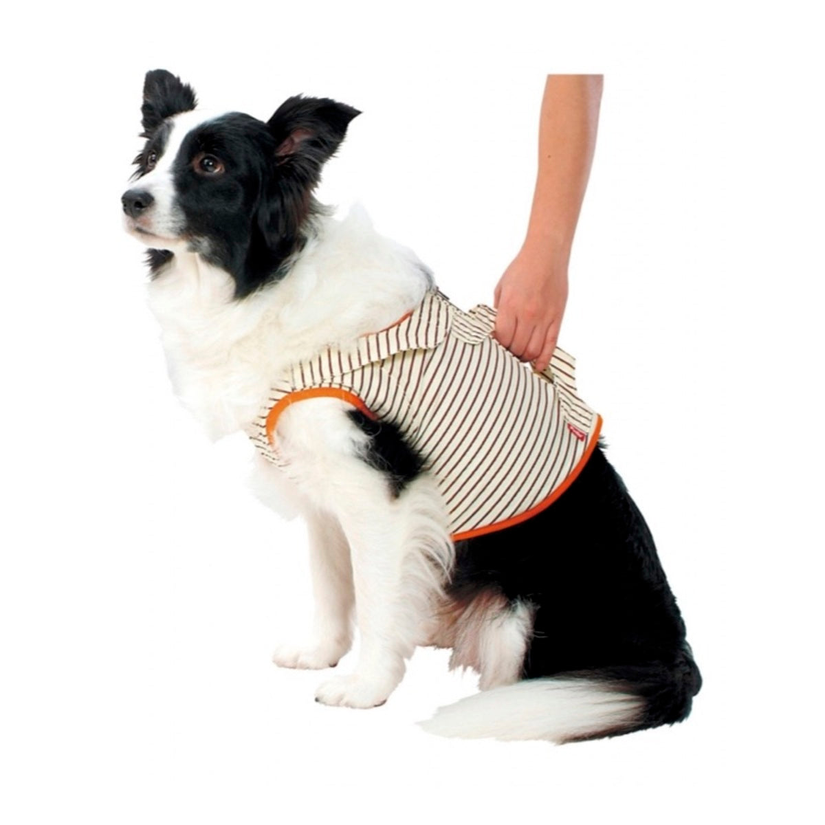 Petio -  (w23638) #D32 zuttone高齡犬護理專用.輔助背心 K 2L  (91601451)