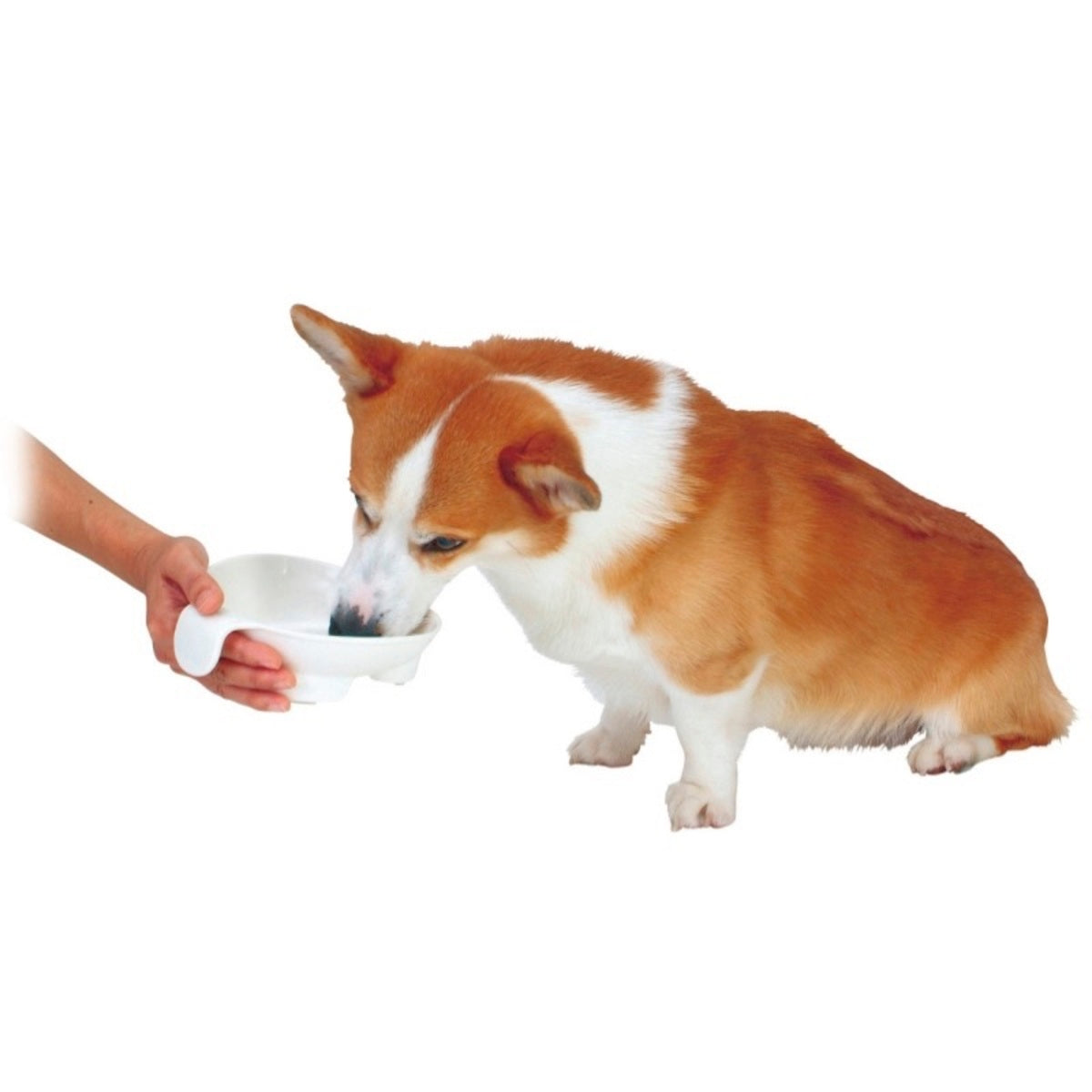 Petio -  (w22457) #D35 zuttone高齡犬護理專用.帶手柄食碗 M  (91601454)