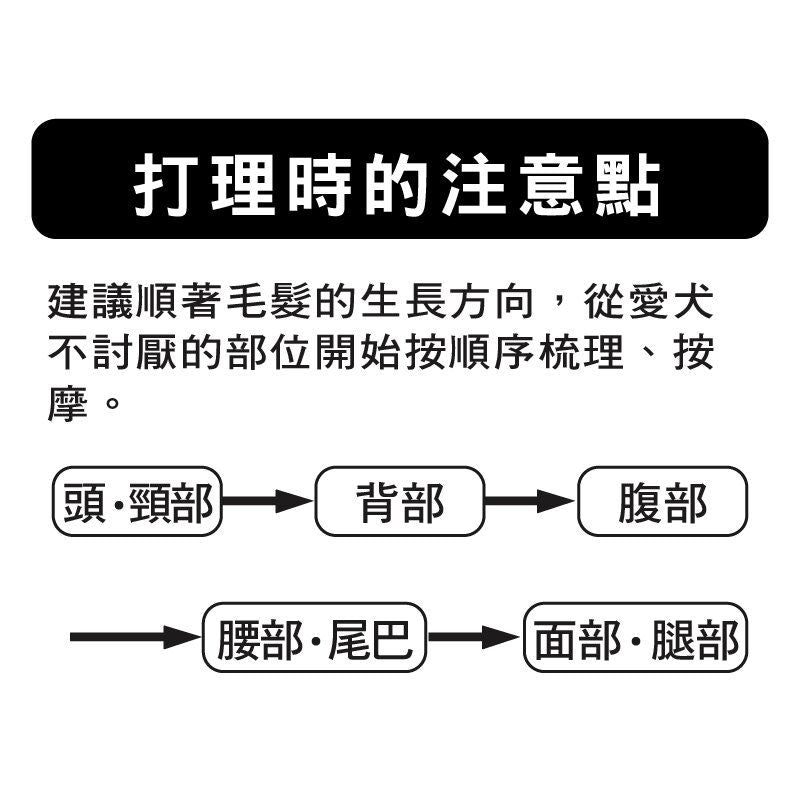 Petio - W25986 #E50 Porta 犬用圓頭按摩梳 M"  (91602202)