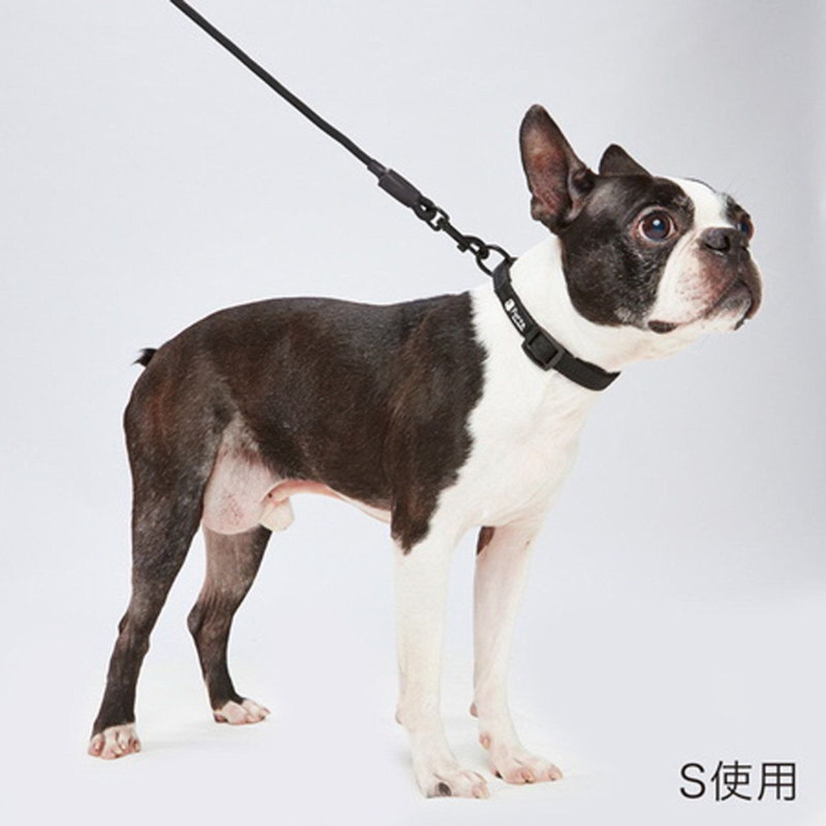 Petio - W57607 #J71Porta犬用柔軟頸帶 黑色 (中)  (91602489)