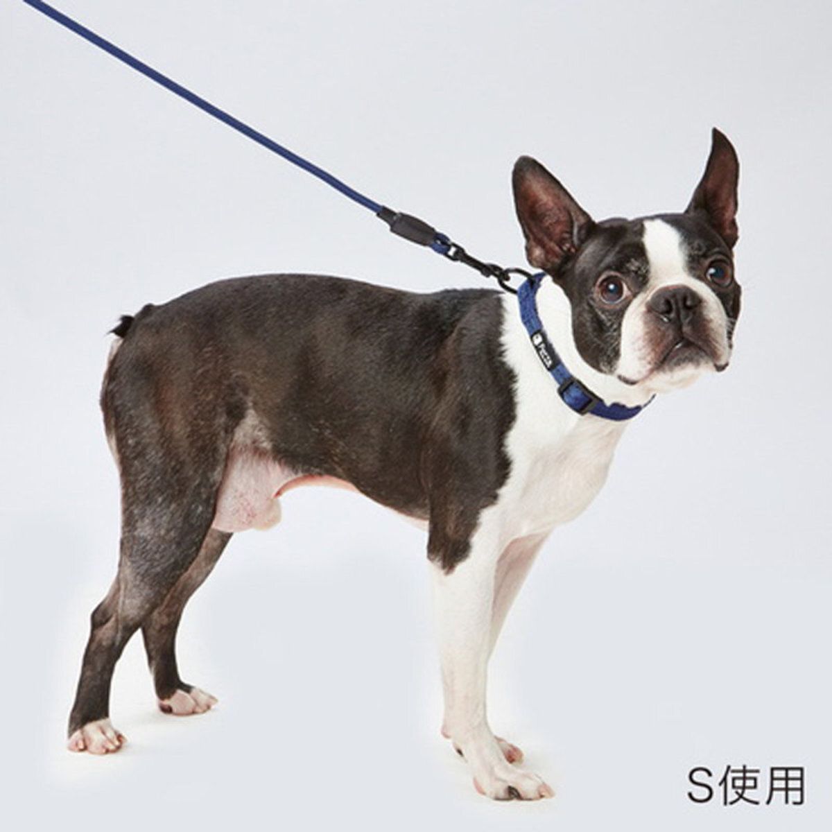 Petio - W57610 #J73 Porta犬用柔軟頸帶 海軍藍 (大)  (91602491)