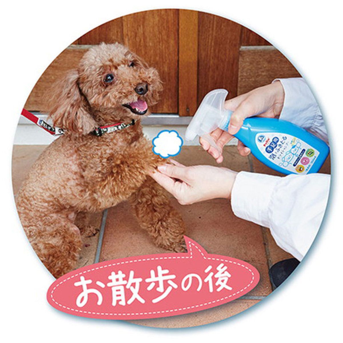 Petio -  (W26472) #E73 貓狗保濕泡沫乾洗噴霧 350ml  (91602700)