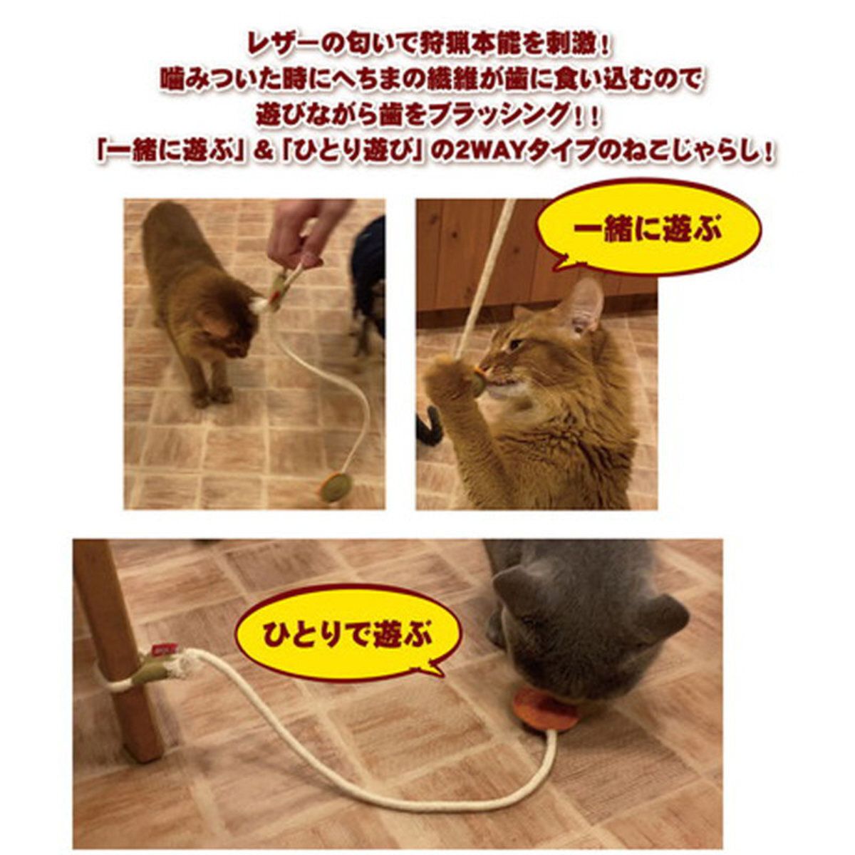 Petio - W26493 #G137 牛皮&絲瓜絡雙面潔齒逗貓繩  (綠色 - 可調節長度)  (91602711)