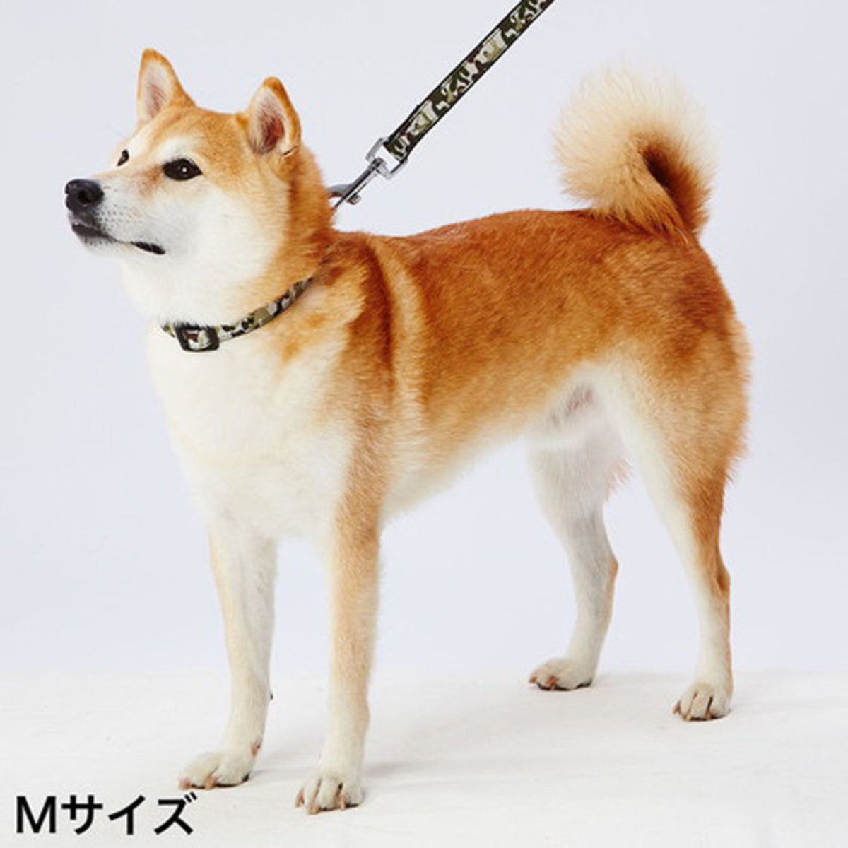 Petio - W57782 #J81 Ethical Door ECO抗菌防水迷彩狗頸帶 M 黑色  (91602739)