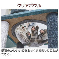 Petio - necoco貓貓4層透明貓窩貓爬架#F179 (W27184)  (91603325)