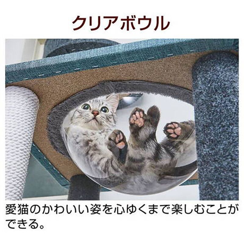 Petio - necoco貓貓4層透明貓窩貓爬架#F179 (W27184)  (91603325)