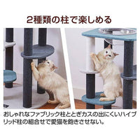 Petio - necoco貓貓4層透明貓窩貓爬架#F179 (W27184)  (91603325)