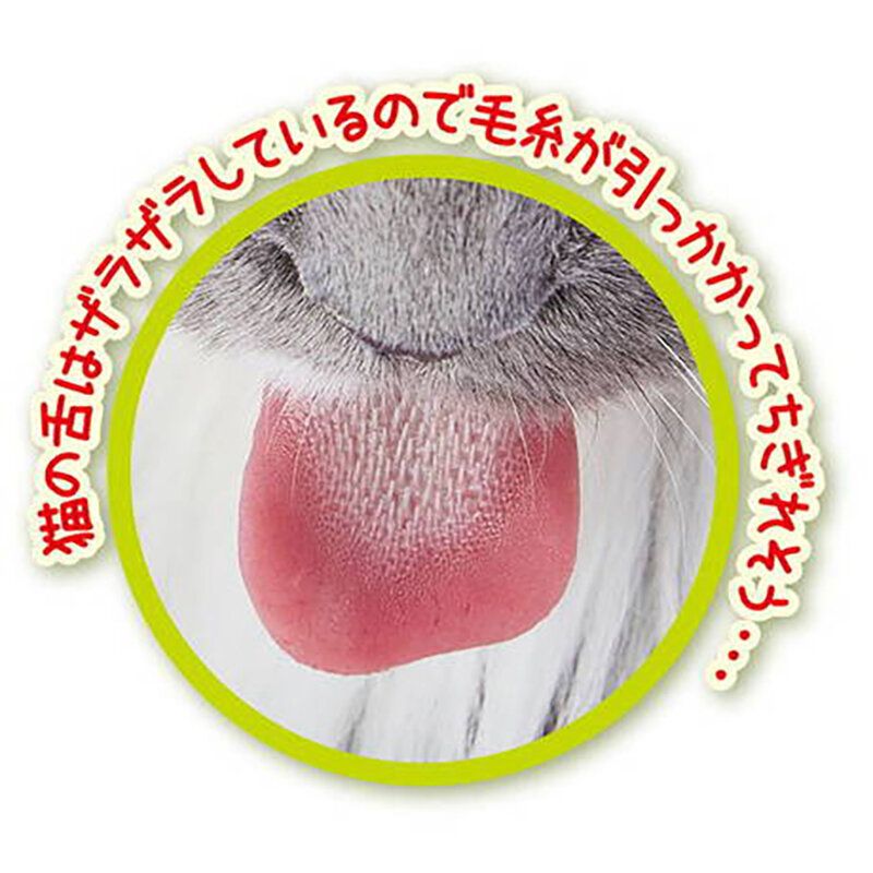 Petio - 沙沙發聲公仔逗貓棒
  (迷你魷魚)  (91603340)